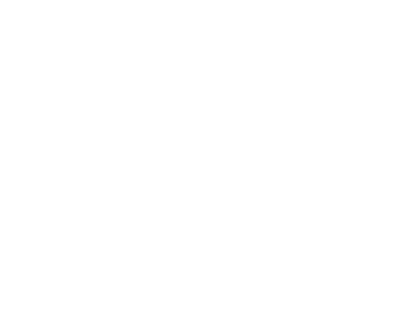 Projet Primates